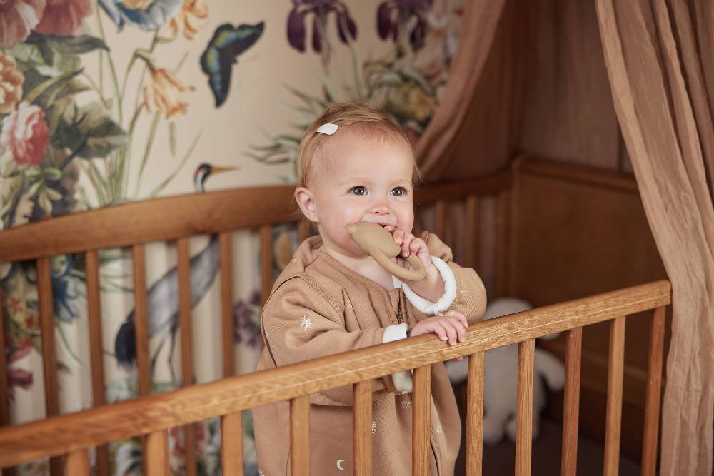 Jollein Beißring Naturkautschuk Teddy Bear Biscuit Online Shopping