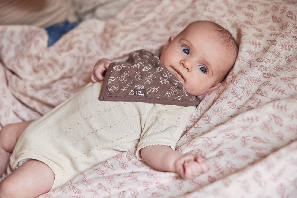 Jollein Lätzchen Bandana Meadow Chestnut (2pack) 2025
