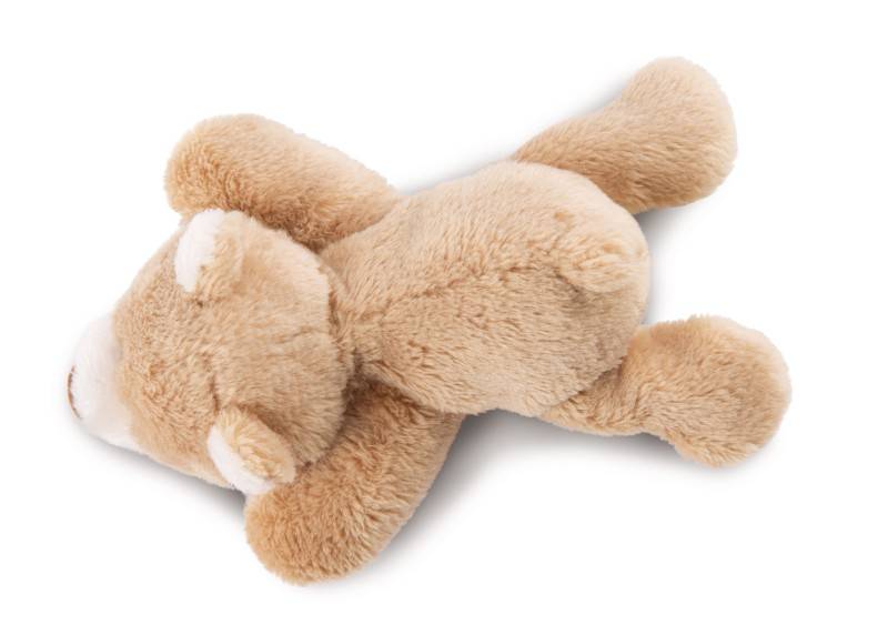 NICI Magnettier Bär Mielo NICI GREEN 50% Rabatt für begrenzte Zeit