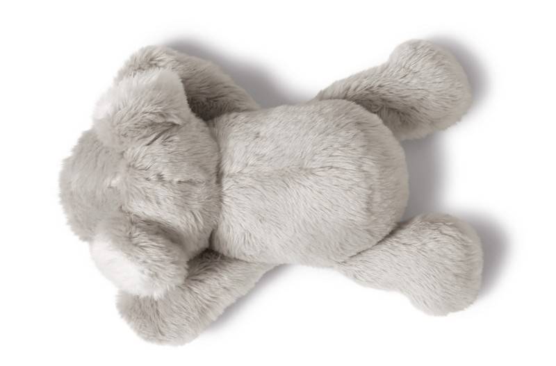 NICI Magnettier Koala Kaola Online
