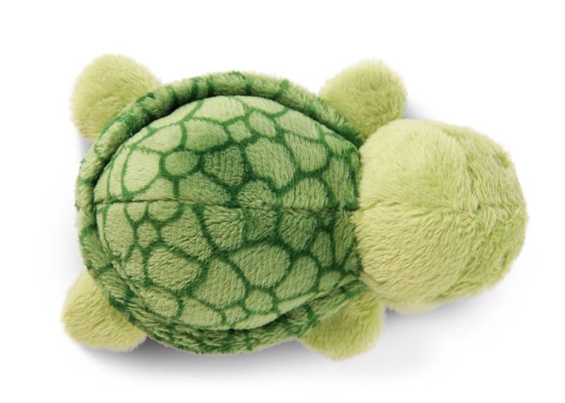 NICI Magnettier Schildkröte Tateus NICI GREEN Letzte 3 Tage