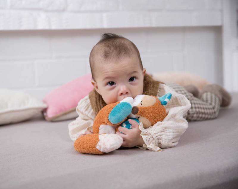 NICI Kuscheltier Gans Gilli 50% Rabatt für begrenzte Zeit
