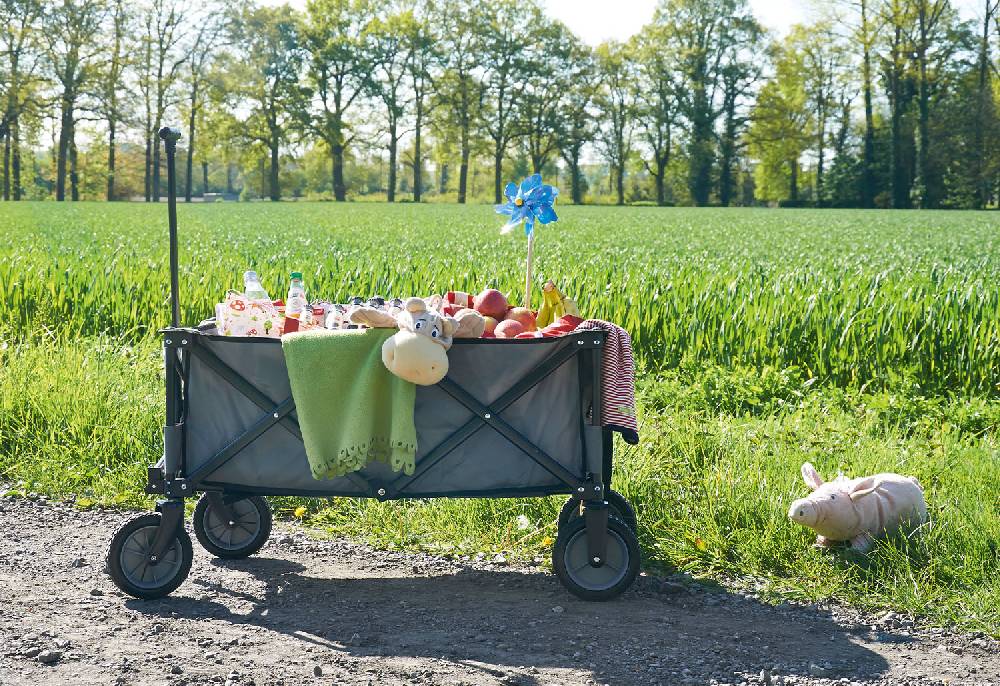 Pinolino Klappbollerwagen 'Porti', grau - Auslaufartikel Nur noch ein Tag übrig