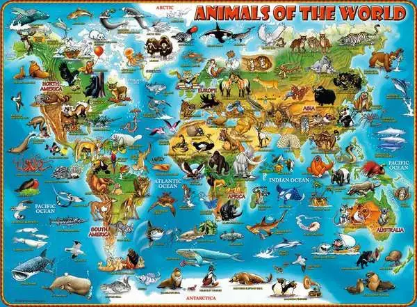 Ravensberger Matratzen Kinderpuzzle ab 9 Jahren - Tiere rund um die Welt - 300 Teile Super Rabatt