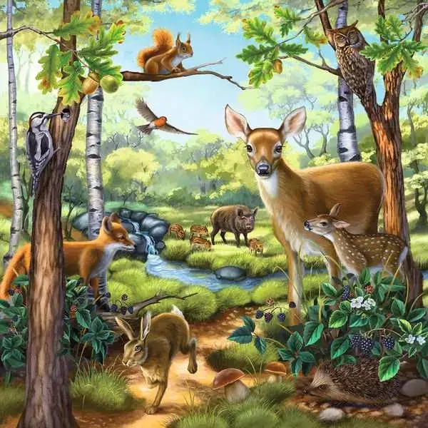 Ravensberger Matratzen Kinderpuzzle ab 5 Jahren - Wald-/Zoo-/Haustiere - 49 Teile Großer Ausverkauf