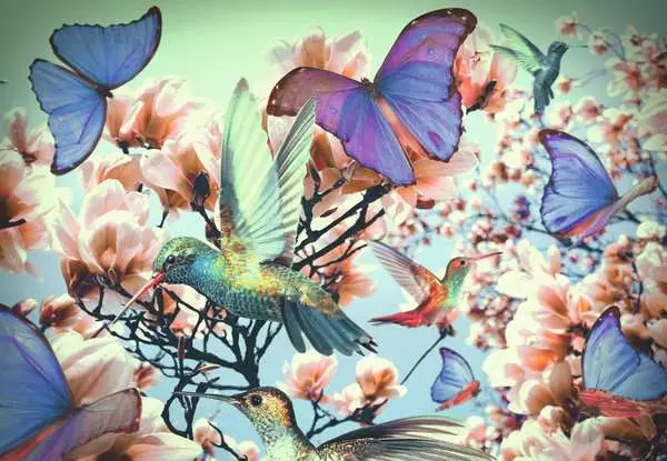 Ravensberger Matratzen Puzzle 300 Teile - Hummingbird Preisnachlass