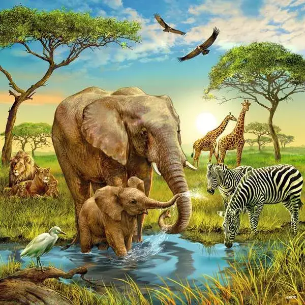 Ravensberger Matratzen Kinderpuzzle ab 5 Jahren - Tiere der Erde - 49 Teile Begrenzte Freigabe