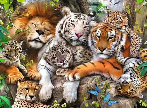 Ravensberger Matratzen Kinderpuzzle ab 8 Jahren - Schmusende Raubkatzen - 200 Teile Osterangebot