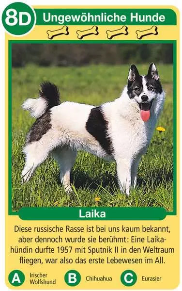 Ravensberger Matratzen Hunde - Kartenspiel ab 4 Jahren Saisonschlussverkauf
