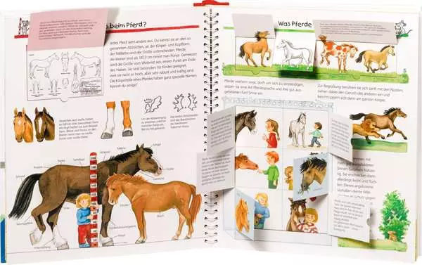 Ravensberger Matratzen Ravensburger Wieso? Weshalb? Warum?, Band 21: Alles über Pferde und Ponys Lagerräumung