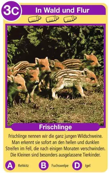 Ravensberger Matratzen Tierkinder - Kartenspiel ab 4 Jahren Vierteljährliche Förderung