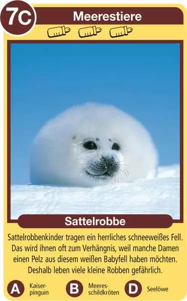 Ravensberger Matratzen Tierkinder - Kartenspiel ab 4 Jahren Vierteljährliche Förderung