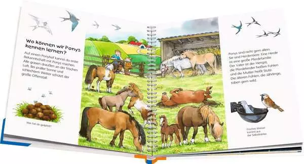 Ravensberger Matratzen Ravensburger Wieso? Weshalb? Warum? junior, Band 20: Das Pony Valentinstagsangebot