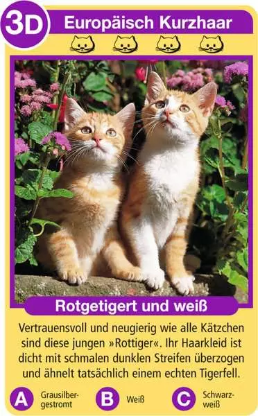 Ravensberger Matratzen Katzen - Kartenspiel ab 4 Jahren Letzte 2 Tage