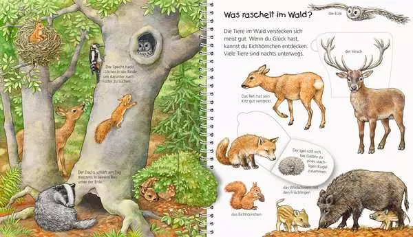 Ravensberger Matratzen Ravensburger Wieso? Weshalb? Warum? Mein junior-Lexikon: Tiere Vierteljährliche Förderung