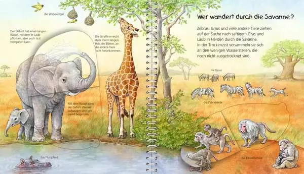 Ravensberger Matratzen Ravensburger Wieso? Weshalb? Warum? Mein junior-Lexikon: Tiere Vierteljährliche Förderung