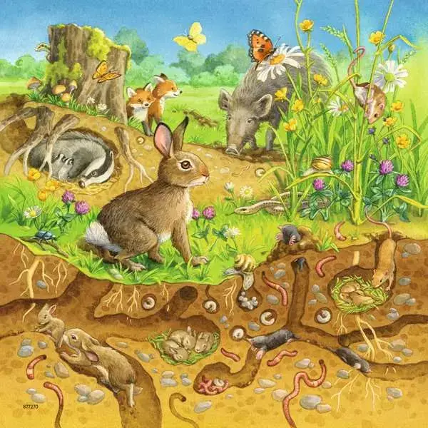 Ravensberger Matratzen Kinderpuzzle ab 5 Jahren - Tiere in ihren Lebensräumen - 49 Teile Valentinstagsangebot
