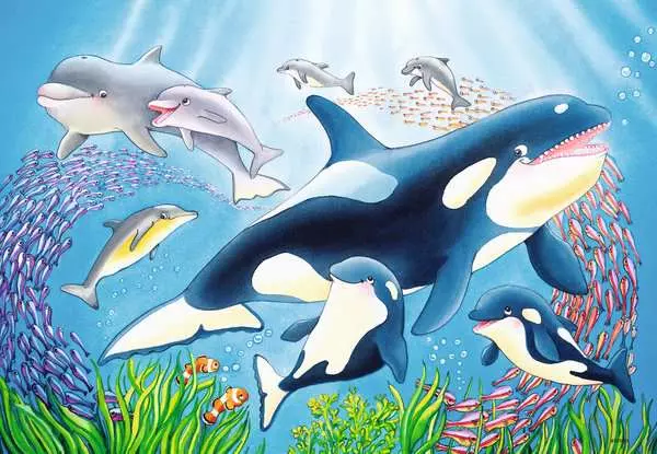 Ravensberger Matratzen Kinderpuzzle ab 4 Jahren - Kunterbunte Unterwasserwelt - 24 Teile Lagerräumung