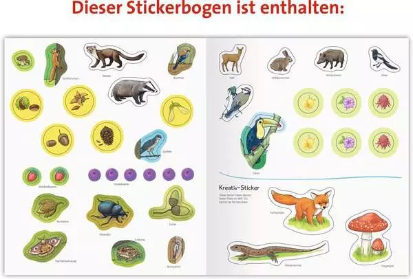 Ravensberger Matratzen Ravensburger Wieso? Weshalb? Warum? aktiv-Heft: Wald Neueste Mode
