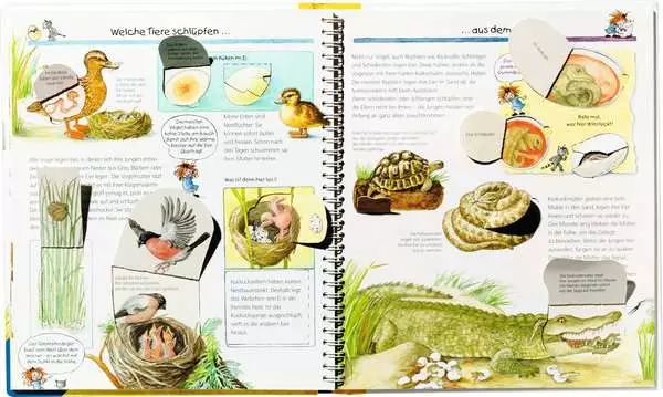 Ravensberger Matratzen Ravensburger Wieso? Weshalb? Warum?, Band 33: Tiere und ihre Kinder Saisonale Angebote