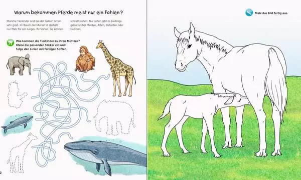 Ravensberger Matratzen Ravensburger Wieso? Weshalb? Warum? aktiv-Heft: Tierkinder Bis zu 60% Rabatt