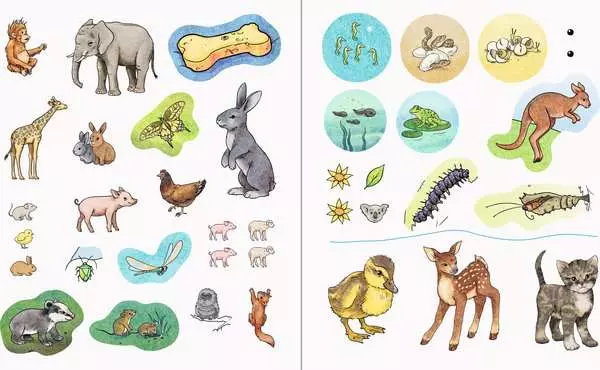 Ravensberger Matratzen Ravensburger Wieso? Weshalb? Warum? aktiv-Heft: Tierkinder Bis zu 60% Rabatt
