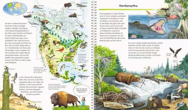 Ravensberger Matratzen Ravensburger Wieso? Weshalb? Warum?: Mein großer Tieratlas Heißer Verkauf