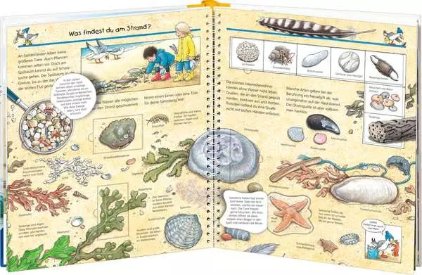 Ravensberger Matratzen Ravensburger Wieso? Weshalb? Warum?, Band 17: Komm mit ans Meer Top Angebot