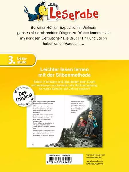 Ravensberger Matratzen Leserabe mit Mildenberger Silbenmethode: Im Labyrinth der Finsternis Online