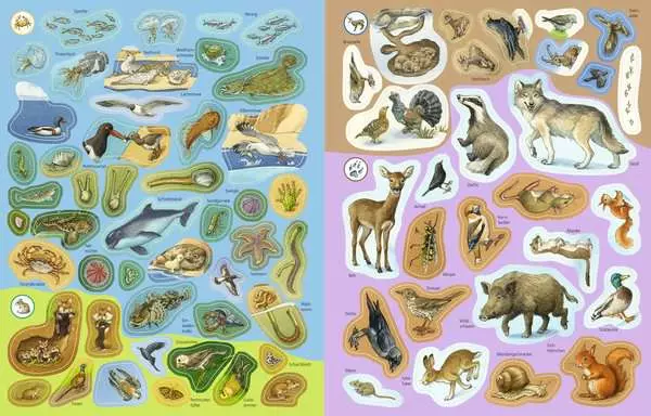 Ravensberger Matratzen Ravensburger Wieso? Weshalb? Warum? Stickerheft: Heimische Tiere Super Sparpreis