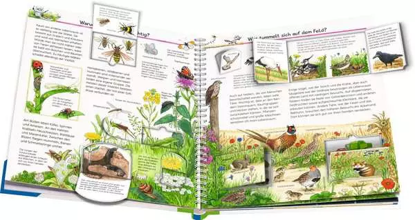 Ravensberger Matratzen Ravensburger Wieso? Weshalb? Warum?, Band 71: Wir entdecken heimische Tiere Riesige Rabatte