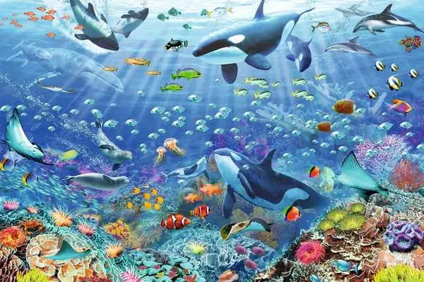 Ravensberger Matratzen Puzzle 3000 Teile - Bunter Unterwasserspaß Verkauf