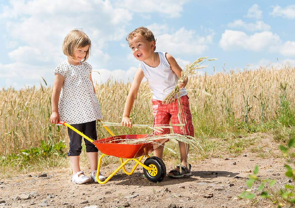 Rolly Toys rollyMetallschubkarre Auslauf