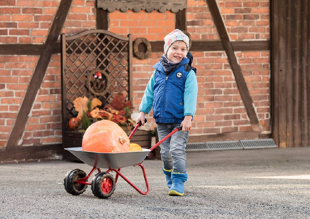 Rolly Toys rollyMetallschubkarre Günstig kaufen