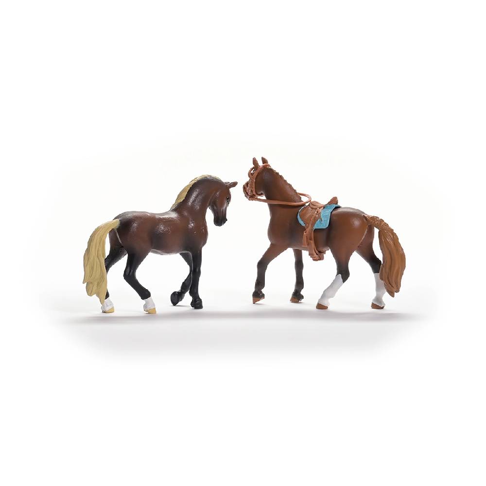 Schleich HORSE CLUB Paso Peruano Starter-Set Discount Store für neue Produkte
