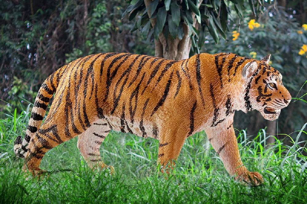 Schleich Tiger Hotsell