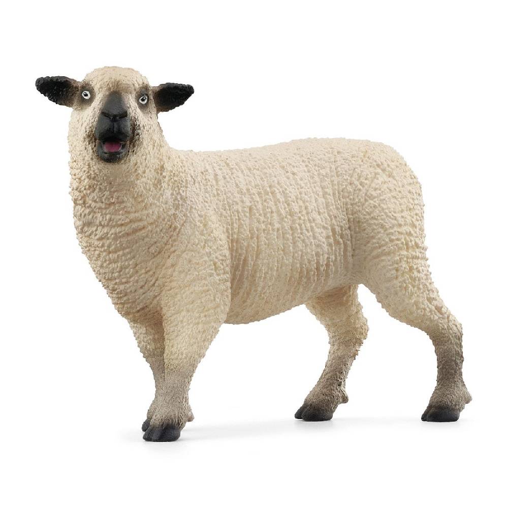 Schleich Schaffreunde Jubiläumsangebot