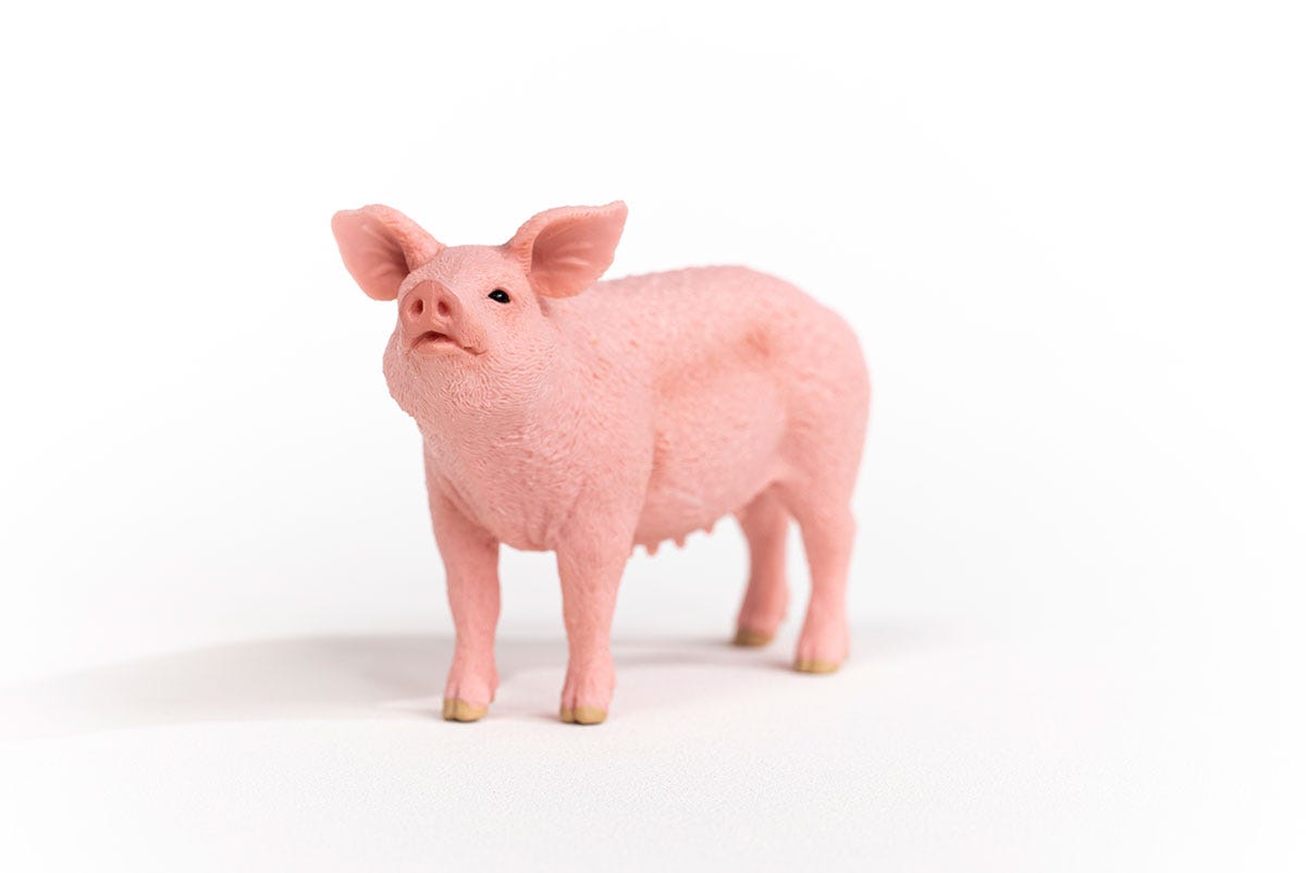Schleich Schwein Lagerräumung