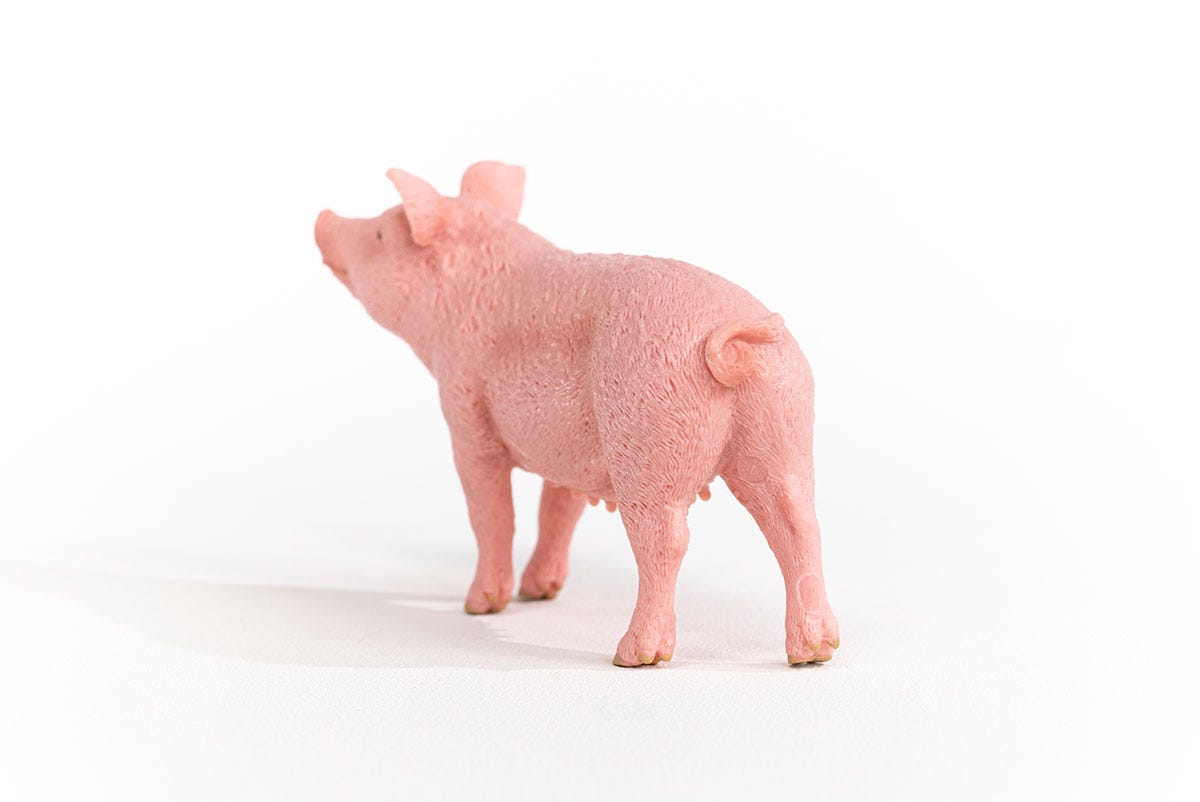 Schleich Schwein Lagerräumung