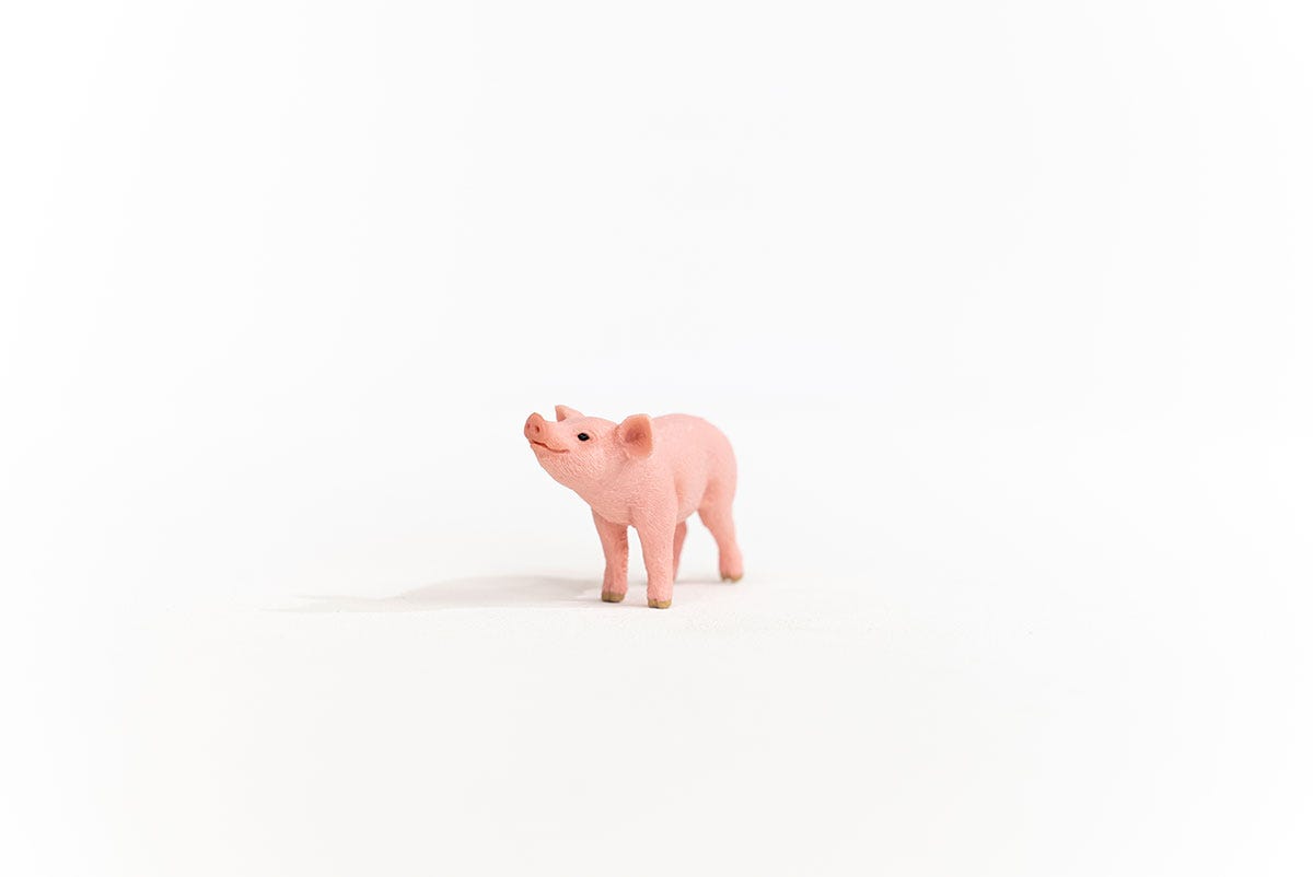 Schleich Ferkel Zeitlich begrenztes Angebot