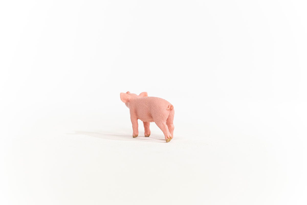 Schleich Ferkel Zeitlich begrenztes Angebot