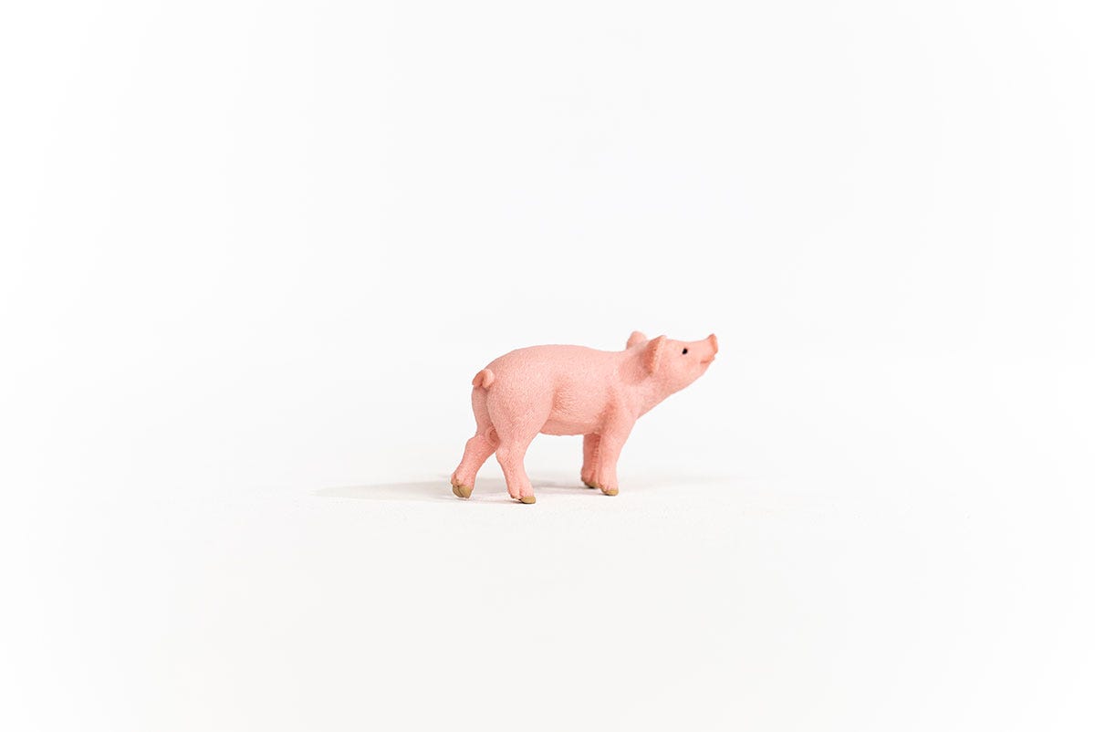 Schleich Ferkel Zeitlich begrenztes Angebot