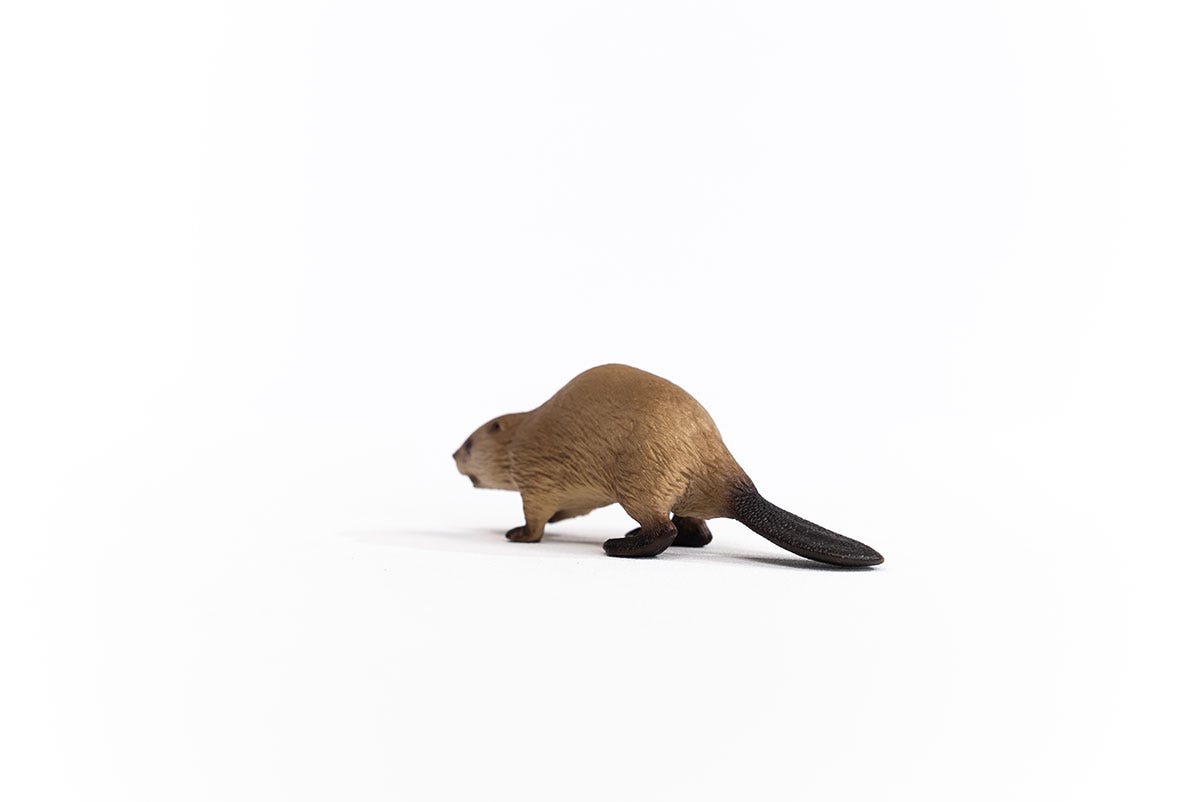 Schleich Biber Fabrikpreis
