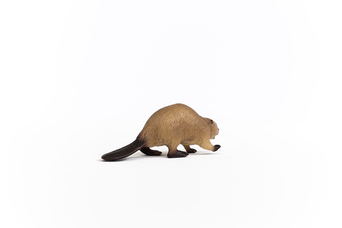 Schleich Biber Fabrikpreis