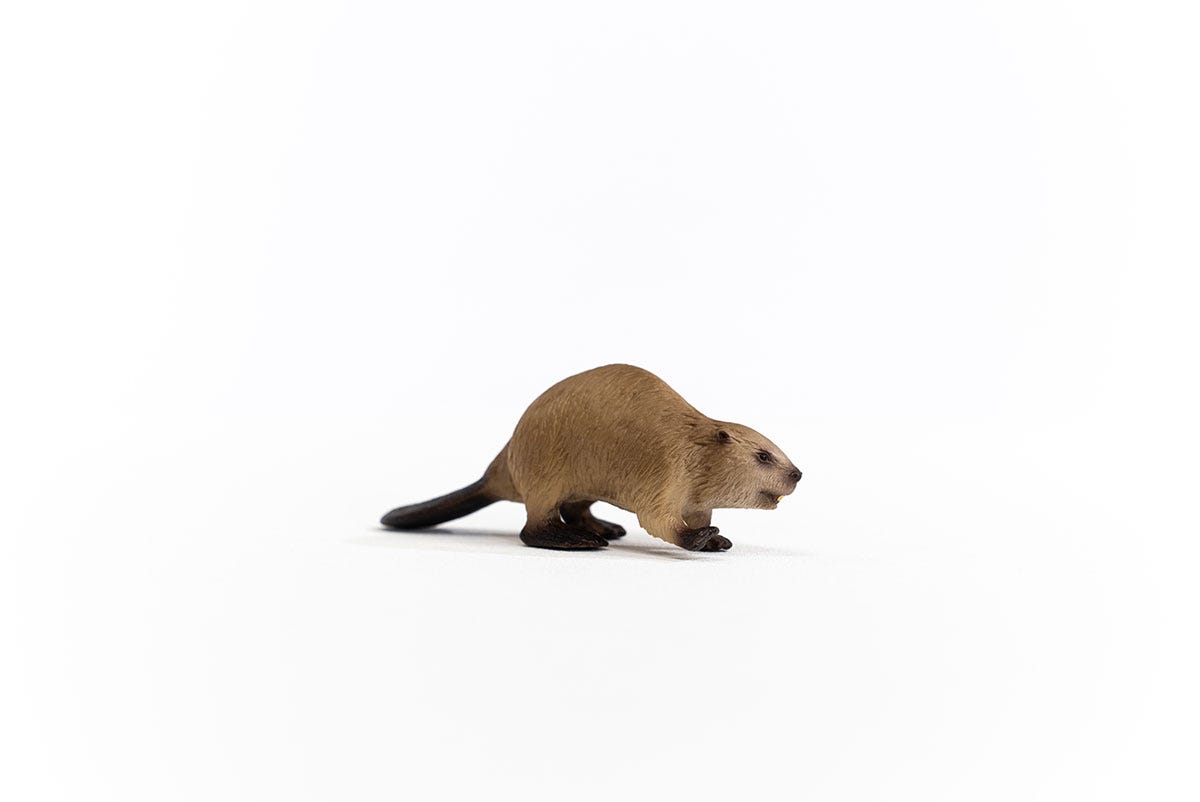 Schleich Biber Fabrikpreis