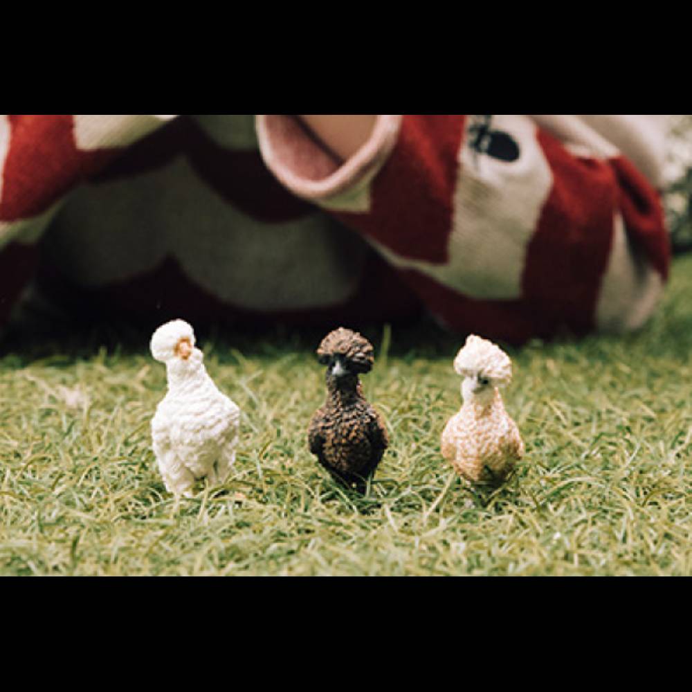 Schleich Hühnerfreunde Saisonschlussverkauf