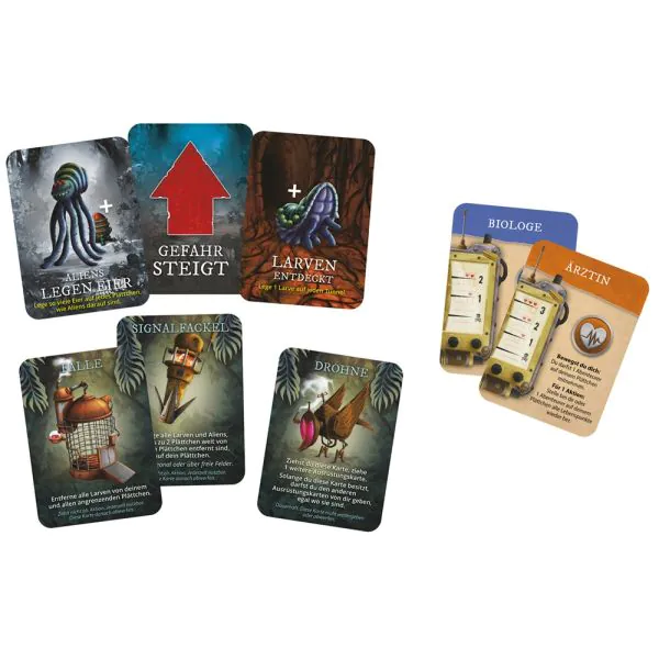 Schmidt Spiele Forbidden Jungle™, Familienspiel Heißer Verkauf