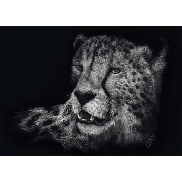 Schmidt Spiele Ashley Rader: Speed - Gepard, im Zeichen der Anmut, 1.000 Teile Puzzle Valentinstagsangebot