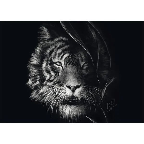Schmidt Spiele Ashley Rader: Wilderness – Tiger, Im Zeichen der Freiheit, 1.000 Teile Puzzle Jubiläumsangebot