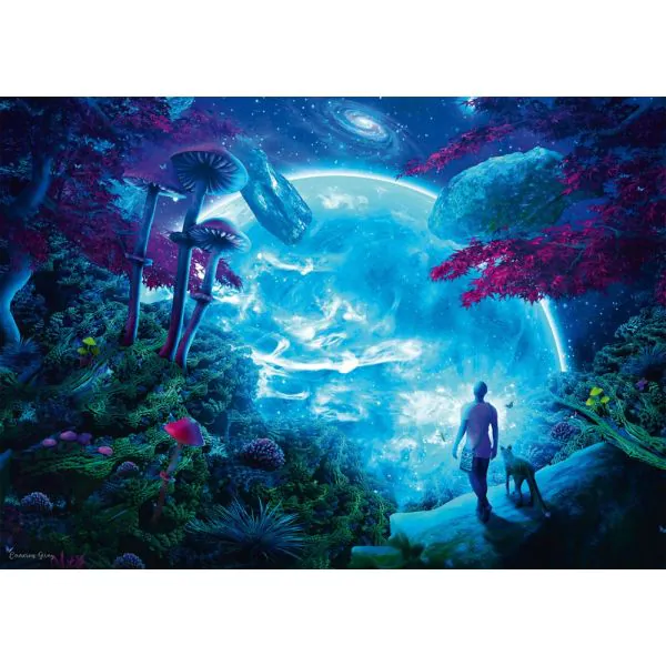 Schmidt Spiele Cameron Gray: Himmelsfantasie, 1.000 Teile Puzzle Neueste Stile